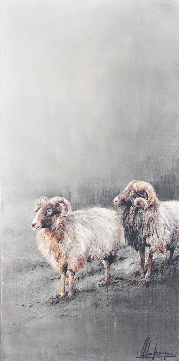 Annabelle Lanfermeijer + 2 Drentse schapen